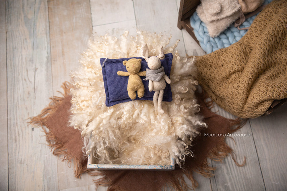 Books de fotos de recien nacidos en belgrano