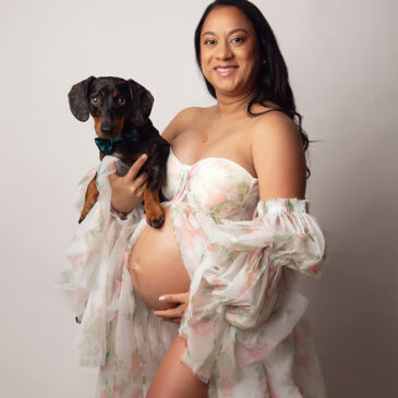 Fotos de embarazadas con mascotas – perros